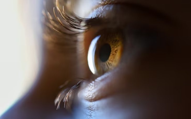 Retinal Detachment Surgery